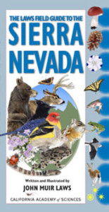 LGSN cover 2