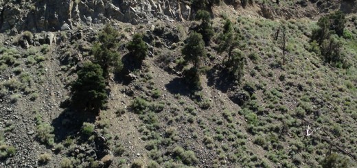 ATV crash