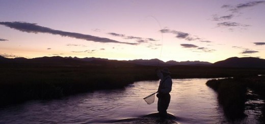 fishing