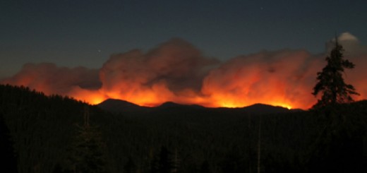 Rim Fire