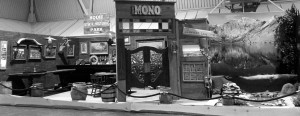 Mono County’s gold medal-winning exhibit. Photo courtesy: Sheet staff.