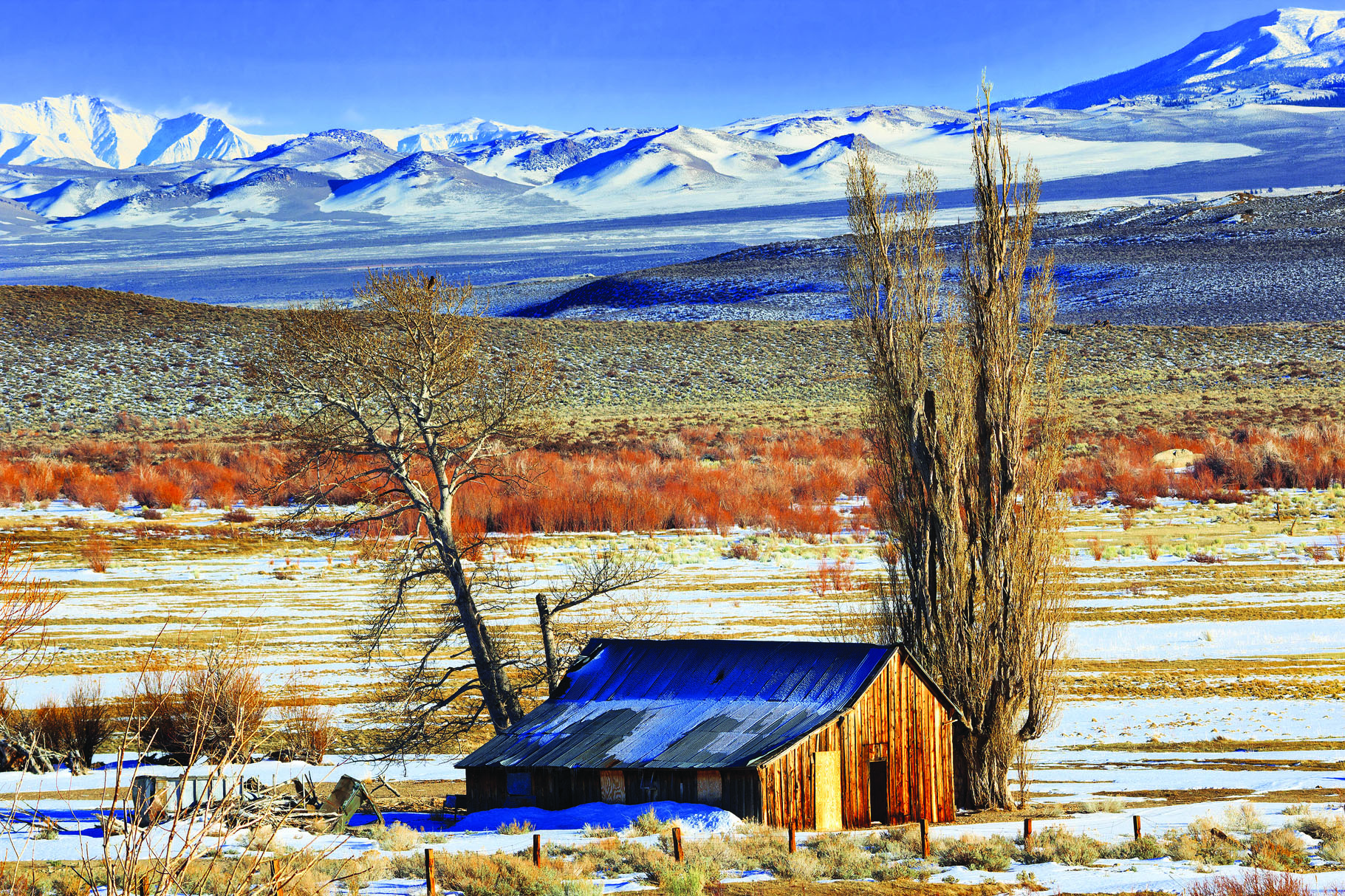 Thanks to two years of cooperative efforts between Mono County, Eastern Sierra Land Trust, and funding partners, the historic Conway Ranch property is now protected in perpetuity. Photo courtesy: Kathleen Bishop.