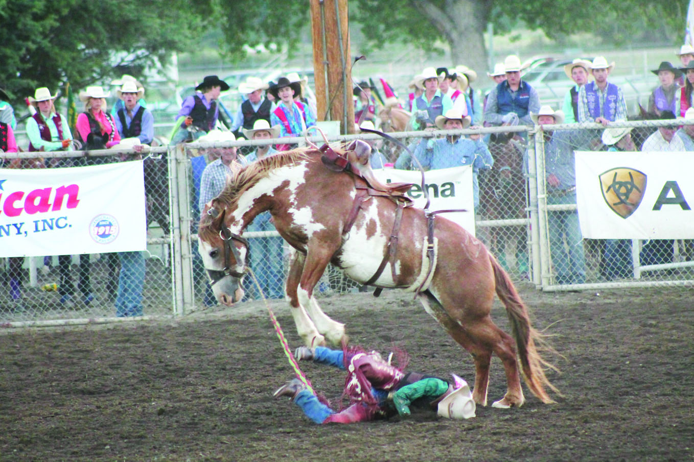 Rodeo2 web