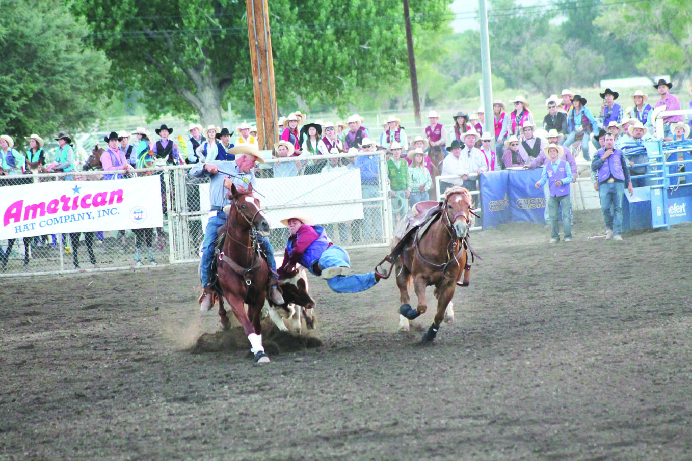 Rodeo5 web