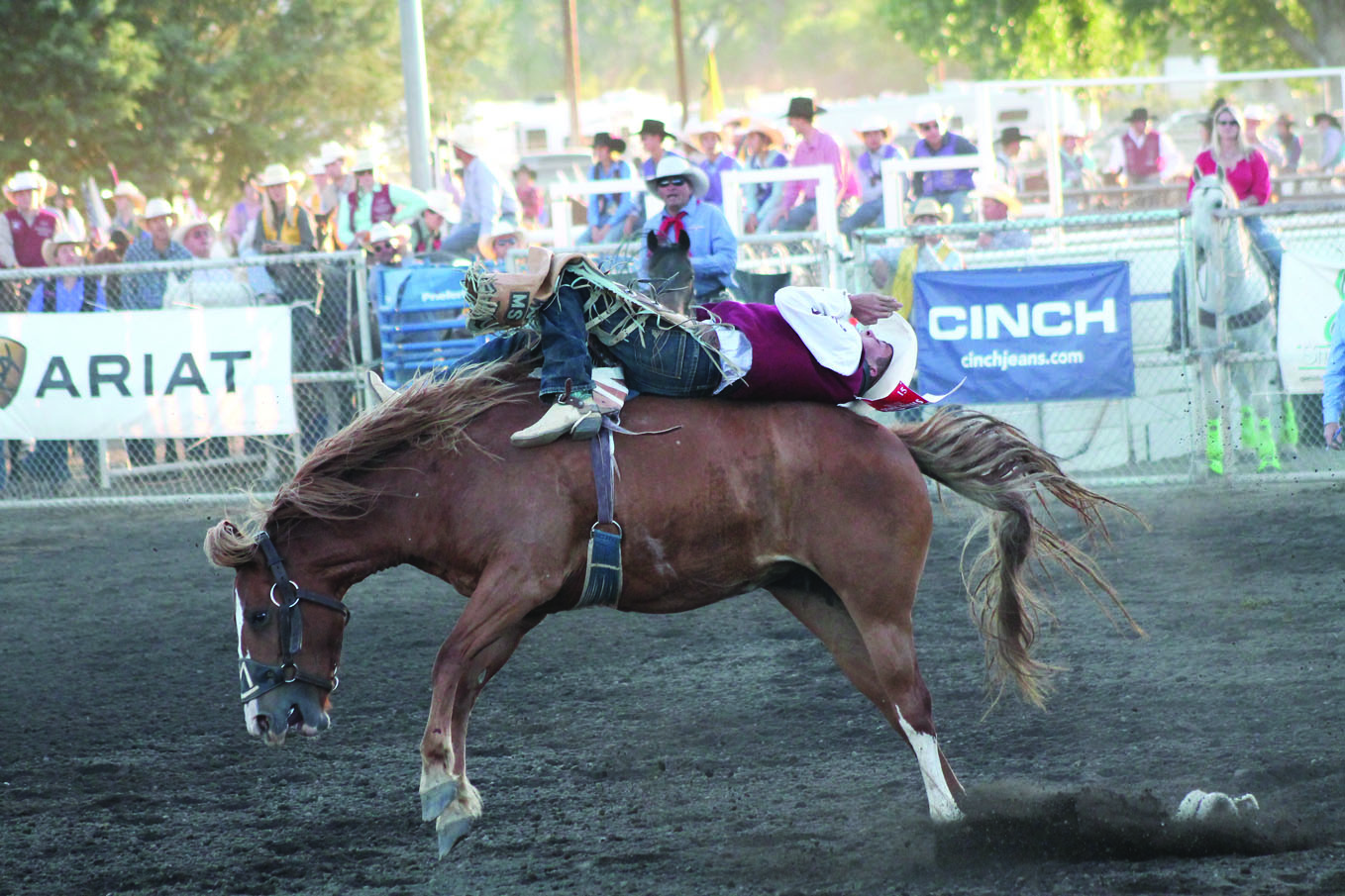 Rodeo6 web