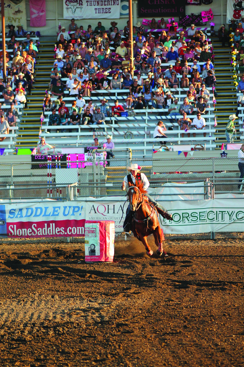 Rodeo7 web