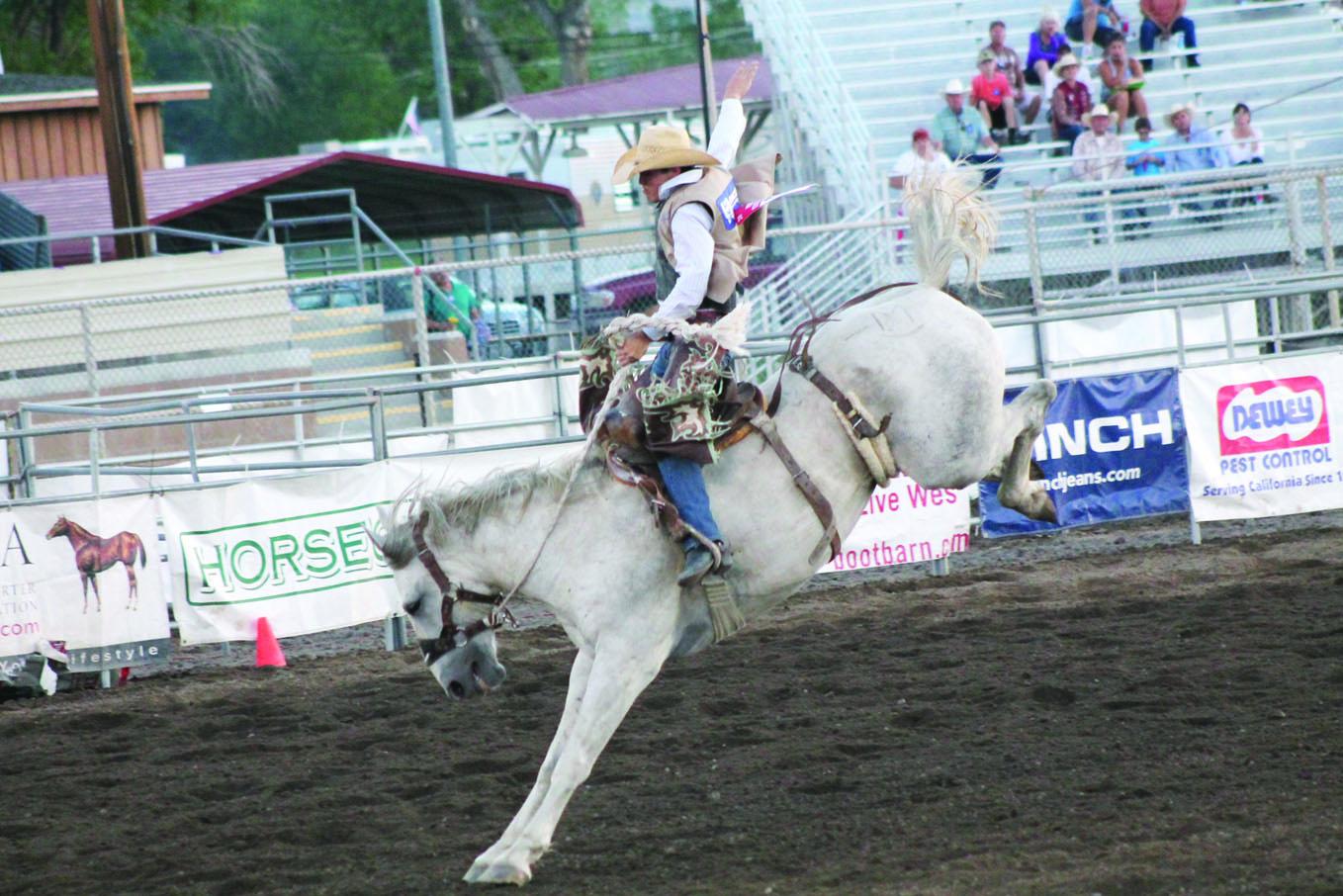 Rodeo8 web