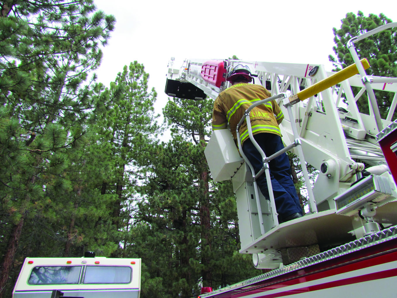 MLFD ladder edit web