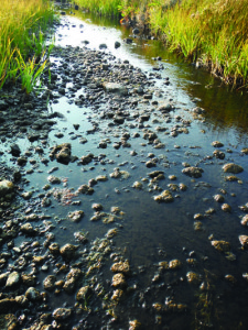 Islands in the Stream. Not exactly what Dolly and Kenny had in mind. Photo courtesy: Sheet staff.