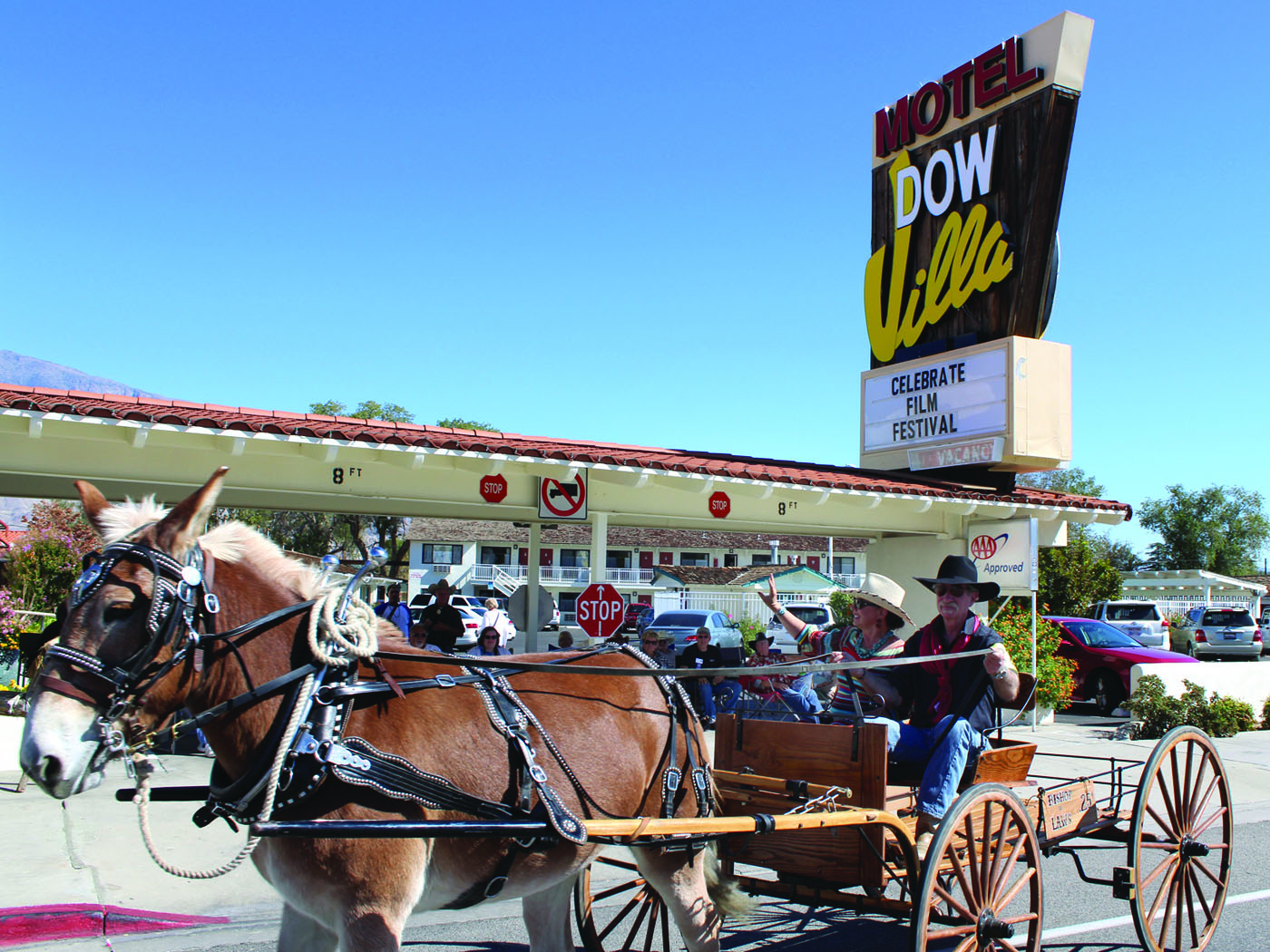 Robin Stater, Owner of Sierra Design Studio and President of the new American Mule Museum in Bishop riding in the Lone Pine Film Festival parade last weekend with Museum Board member Bruce Klein. Photo courtesy: Sheet staff.