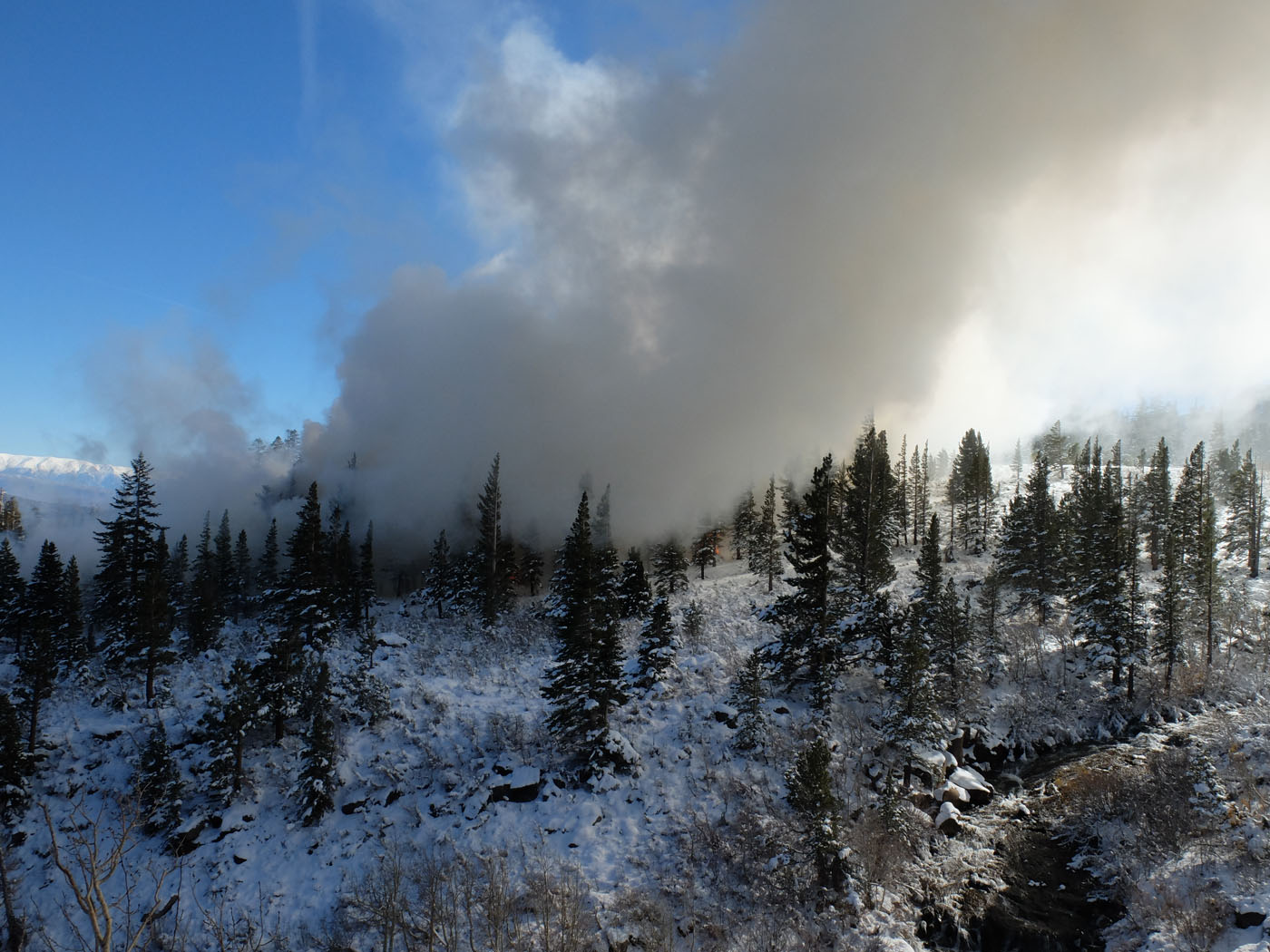 A controlled burn in the Lakes Basin on Friday, Nov. 6 had some Mammoth residents concerned. Photo courtesy: Sheet staff.