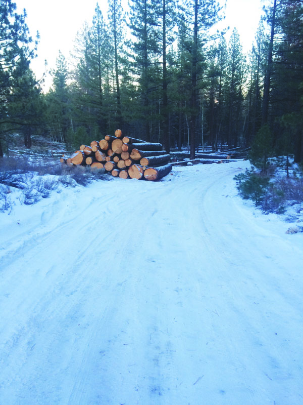 Logs Before edit web